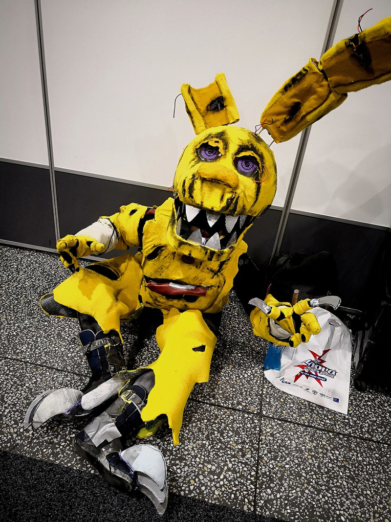 Illustration for article titled Adelaide Has Some Pretty Amazing Cosplayers